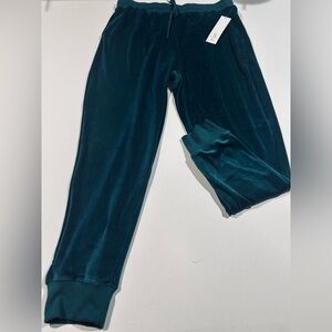 NWT LuLaRoe Cozy Jax Teal Velour Jogger Pants